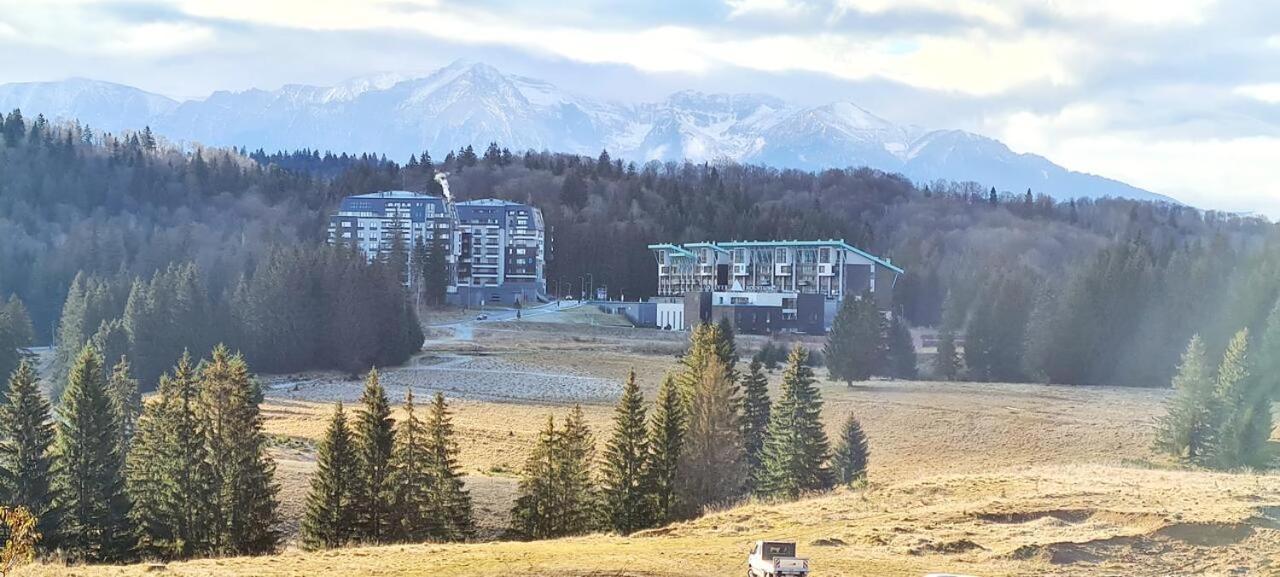 Forest Corner In Silver Mountain Of Poiana Brasov Exterior photo