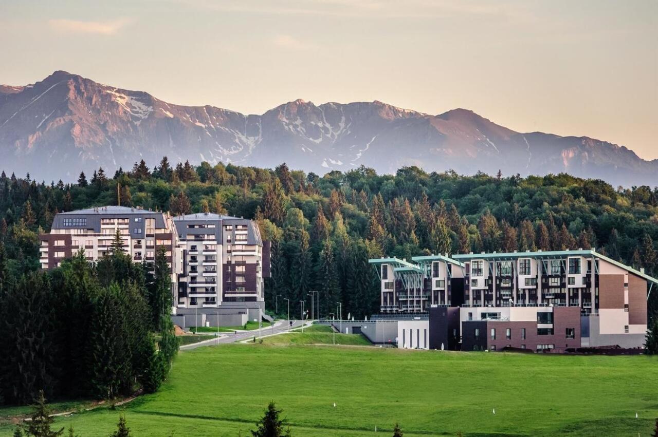 Forest Corner In Silver Mountain Of Poiana Brasov Exterior photo
